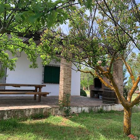 Gran Casa, Lagunas De Ruidera, Bbq, Porche, Chimenea Zewnętrze zdjęcie