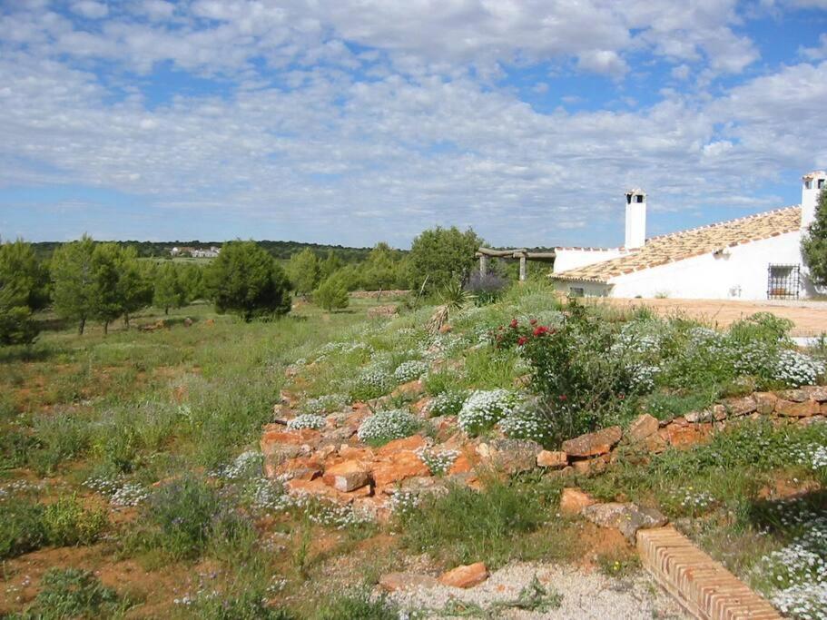 Gran Casa, Lagunas De Ruidera, Bbq, Porche, Chimenea Zewnętrze zdjęcie
