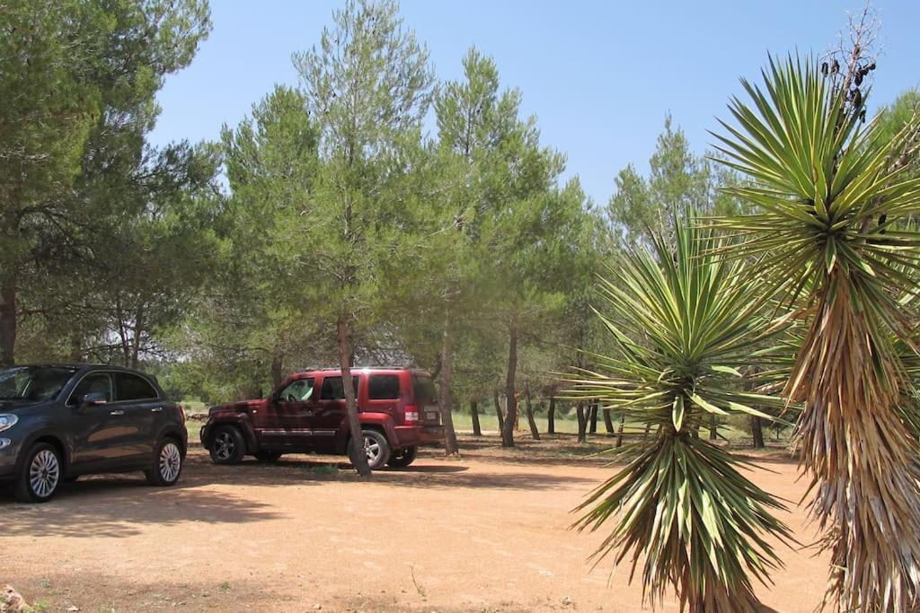 Gran Casa, Lagunas De Ruidera, Bbq, Porche, Chimenea Zewnętrze zdjęcie