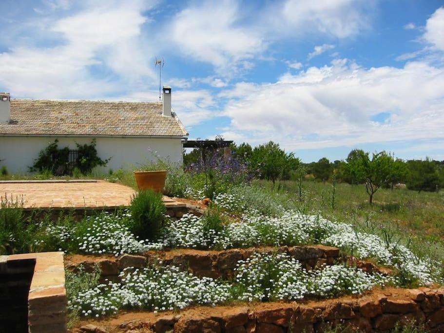 Gran Casa, Lagunas De Ruidera, Bbq, Porche, Chimenea Zewnętrze zdjęcie