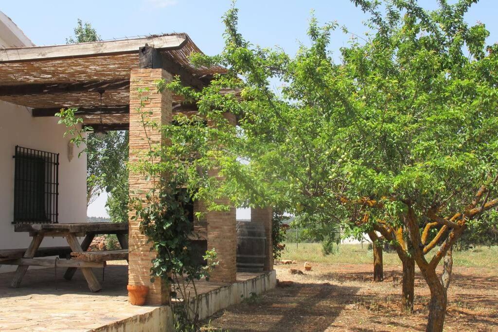 Gran Casa, Lagunas De Ruidera, Bbq, Porche, Chimenea Zewnętrze zdjęcie